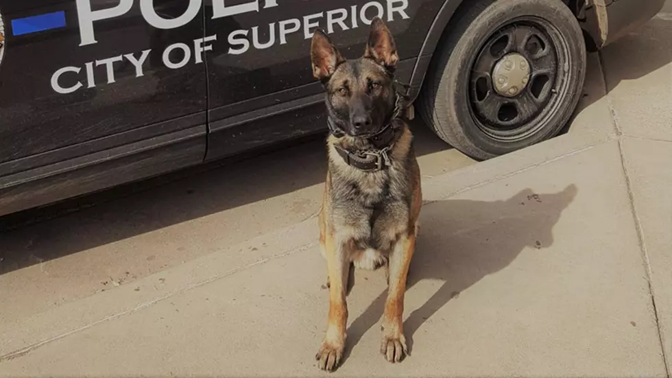 Superior Police Department K9 to Get Body Armor
