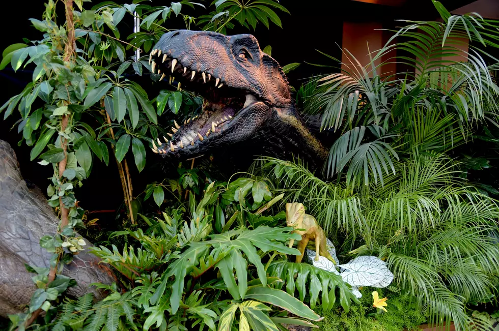 Jurassic Qwest Dinosaurs Are Coming to Minneapolis