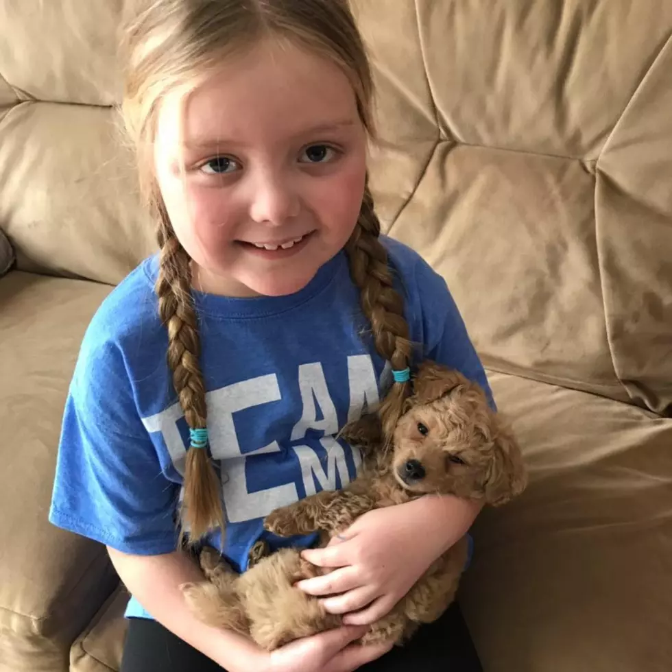 Terminally Ill Little Girl Who Loves Dogs, Got A Visit This Past Weekend From Dozens of Police K-9’s From All Over Wisconsin