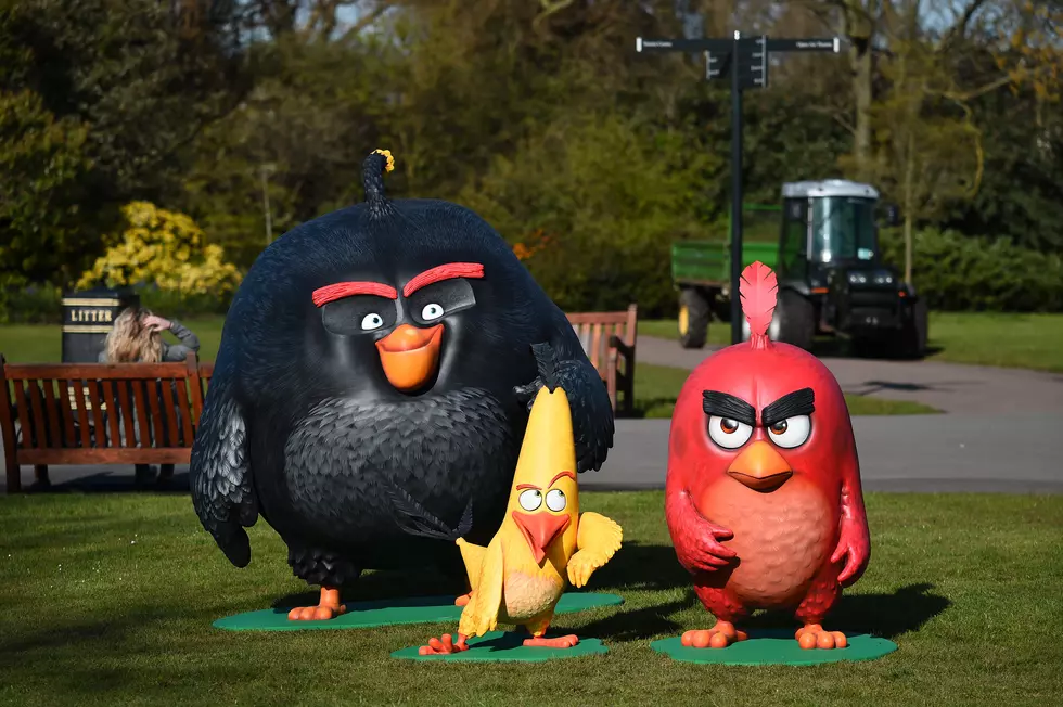 The 'Angry Birds' are Invading The Minnesota State Fair This Year