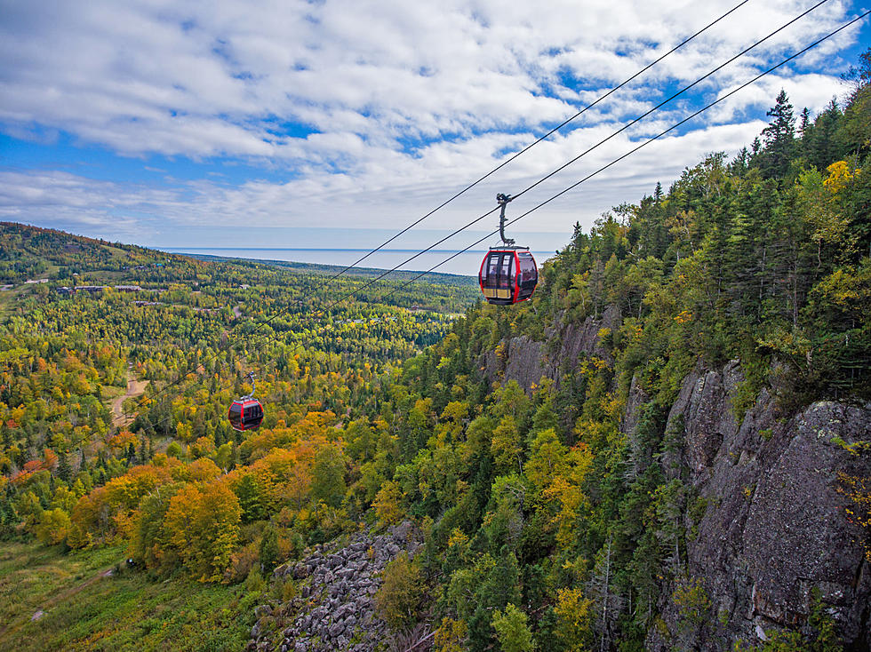 At Lutsen Mountain You Can See The Fall Colors From Above The Trees