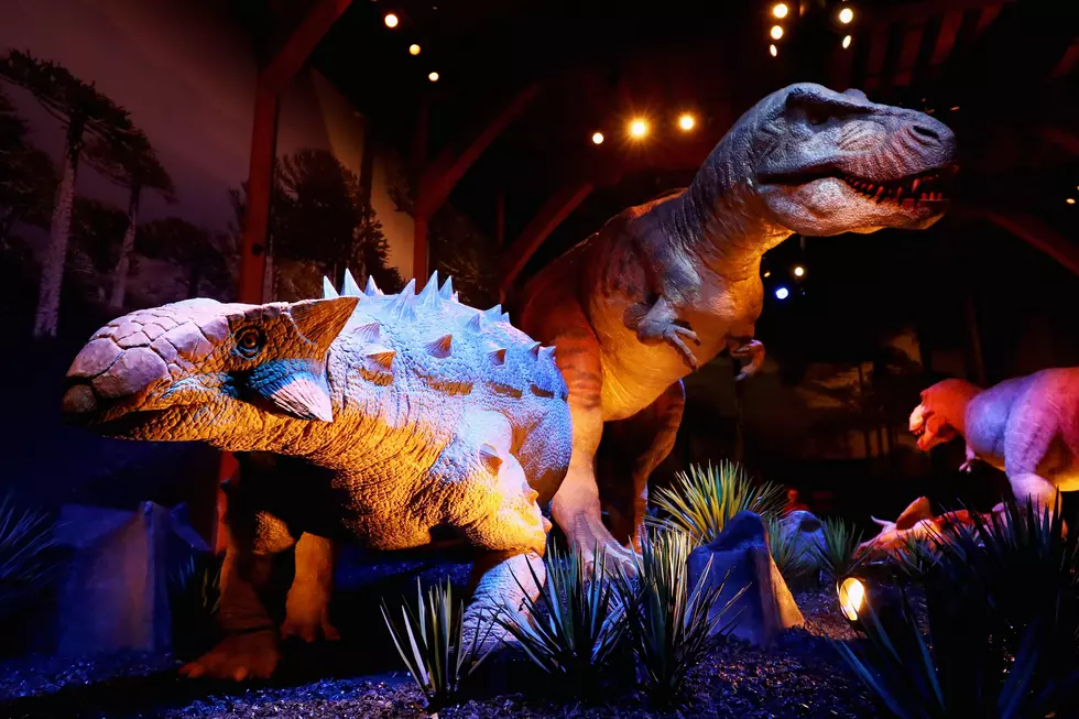 Huge Dinosaur Event Coming to Minneapolis