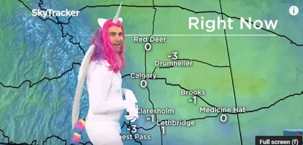 A Meteorologist In Canada Had The Entire News Staff Laughing At His Costume