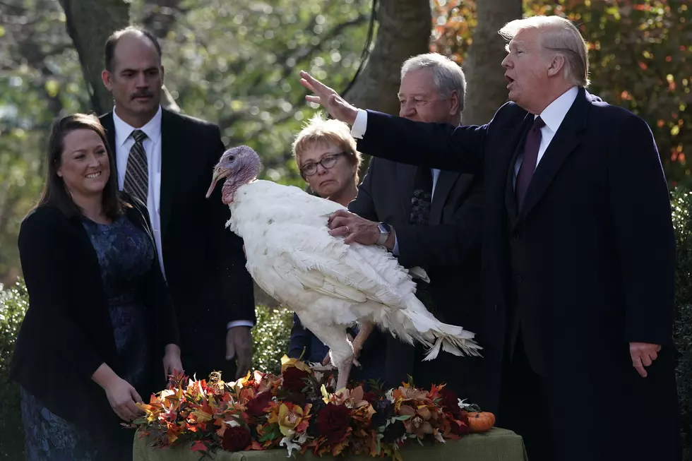 Photos of Presidents Pardoning Turkeys