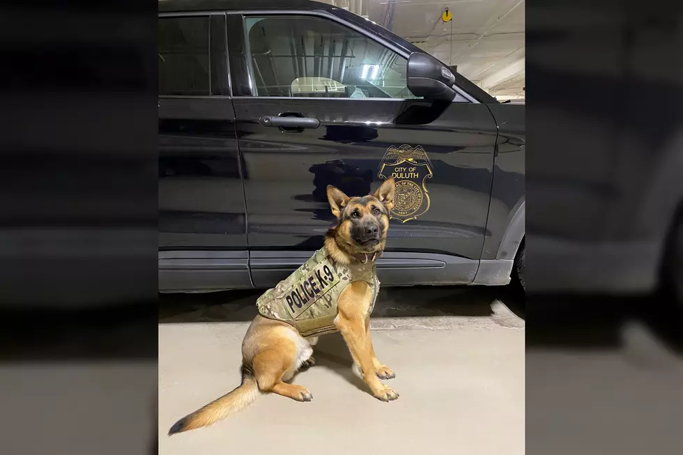 Another Duluth Police Department K-9 Officer Has Received a Protective Vest