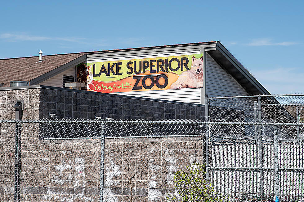 Lake Superior Zoo Is Celebrating With A Backyard Bash In July