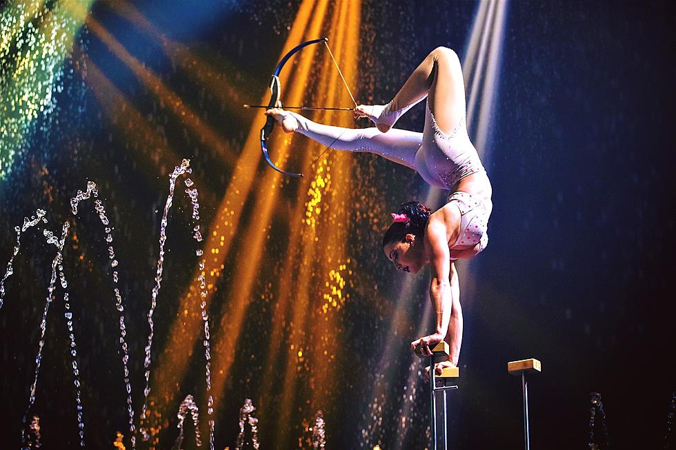 Cirque Italia "The Italian Water Circus" Is Coming To Duluth 