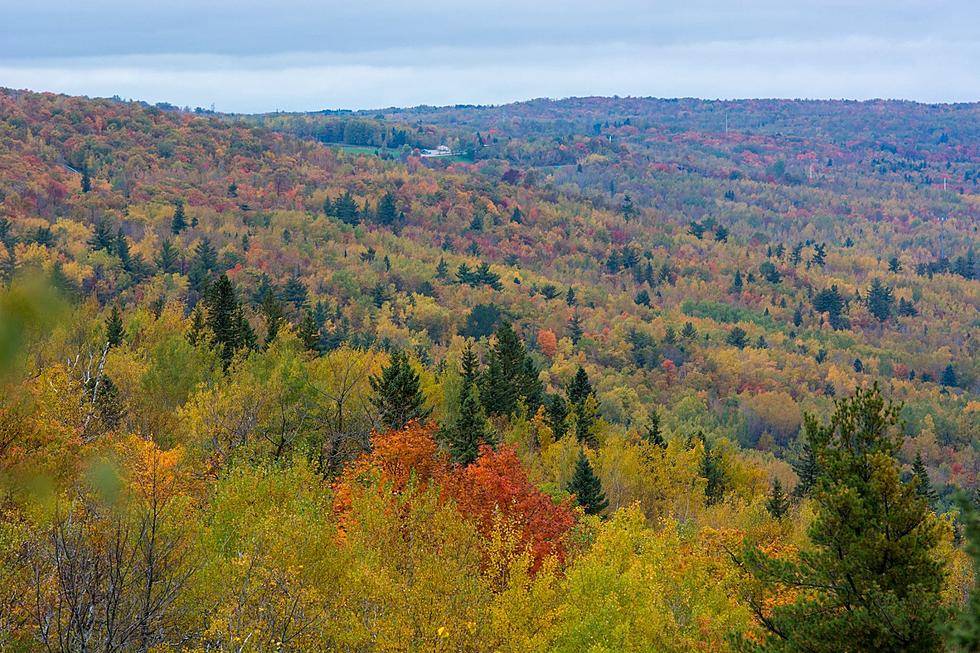Here Is A Unique Way To Check Minnesota’s Fall Colors: Via Zip Line