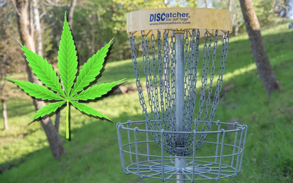 Minnesota is Home to America’s First Cannabis Disc Golf Course