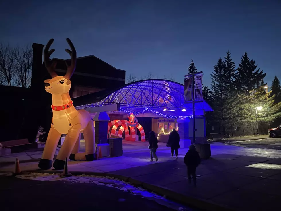 What To Expect At Lake Superior Zoo’s ‘Larger Than Life’ Zoo Lights 2022