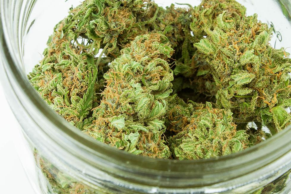 Second Minnesota Recreational Marijuana Dispensary Opens
