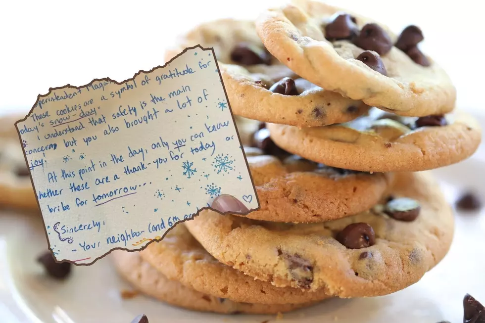 Duluth Student Hilariously Bribes Superintendent with Cookies for Extra Snow Day