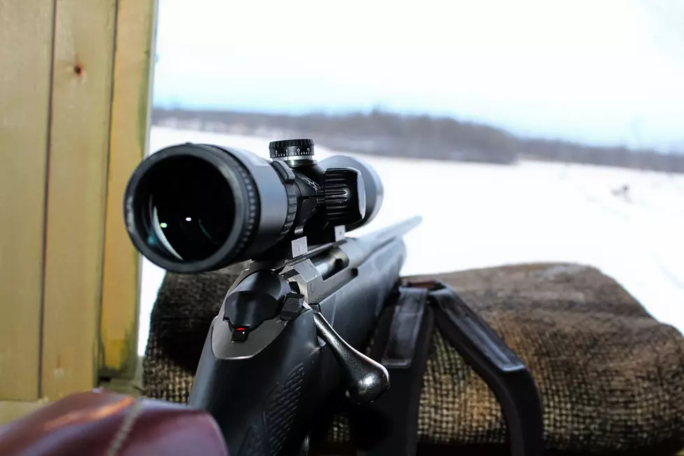 Minnesota Hunters Will See Major Changes to Licensing and Permits