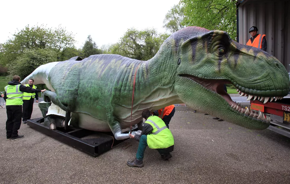 New Massive “True-to-Life” Dinosaur Attraction in Minnesota This Summer