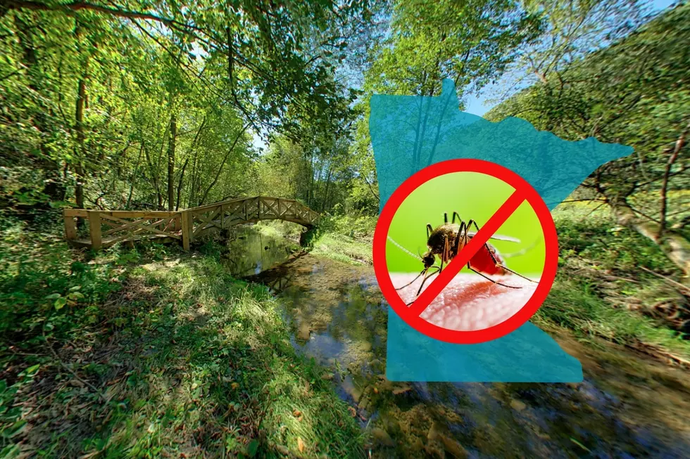 Don’t Like Bugs? These Minnesota State Parks Have The Least Bugs To Pester You