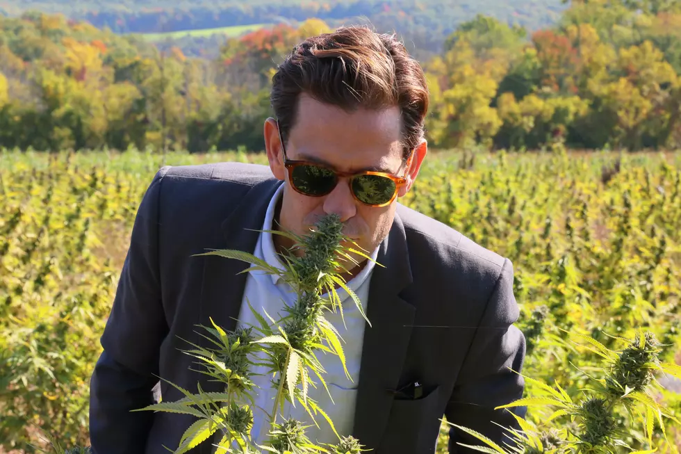 St. Cloud State Just Became Minnesota’s Weed U