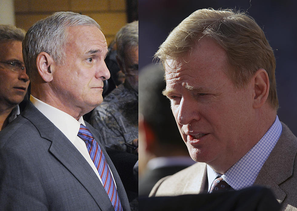 NFL Commissioner Goodell Meets with Minnesota Legislative Leaders About Stadium Bill