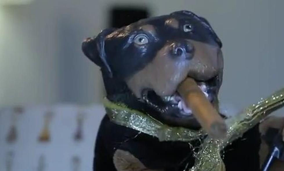 Triumph The Insult Comic Dog Makes his ‘Guy’s Choice’ Picks [VIDEO]