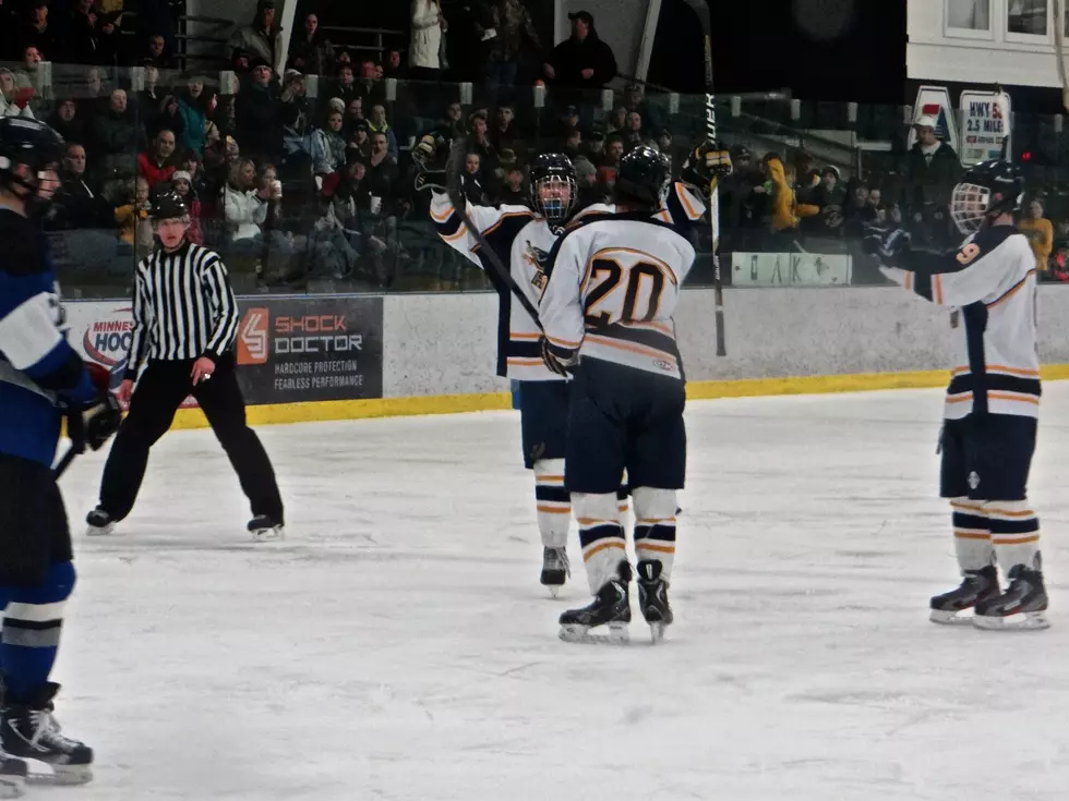 Hermantown Hawks Soar Over Rogers Royals in a 9-0 Section 5A Semifinals Win [PHOTOS]