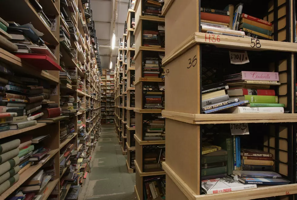 Duluth Public Library Holding 40TH Annual Book Sale