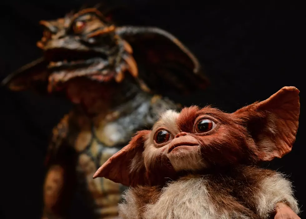Gremlins Showing At Zeitgeist Just In Time For Chirstmas