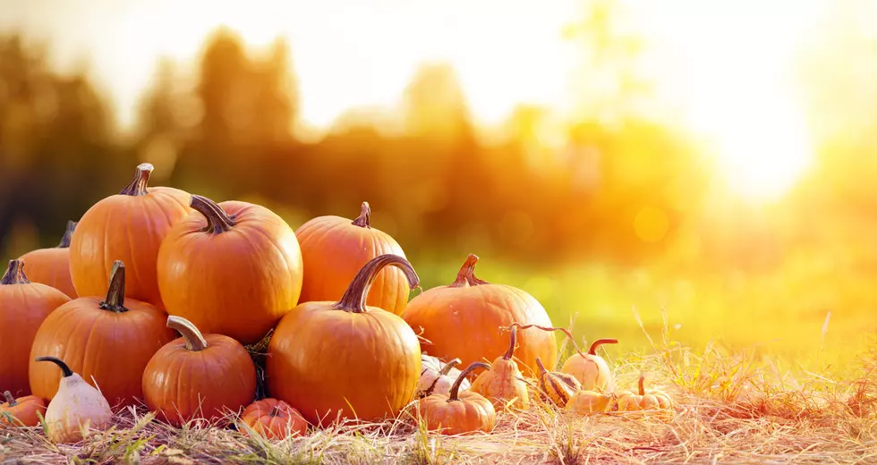 Get A Free Pumpkin At This Annual Giveaway Event