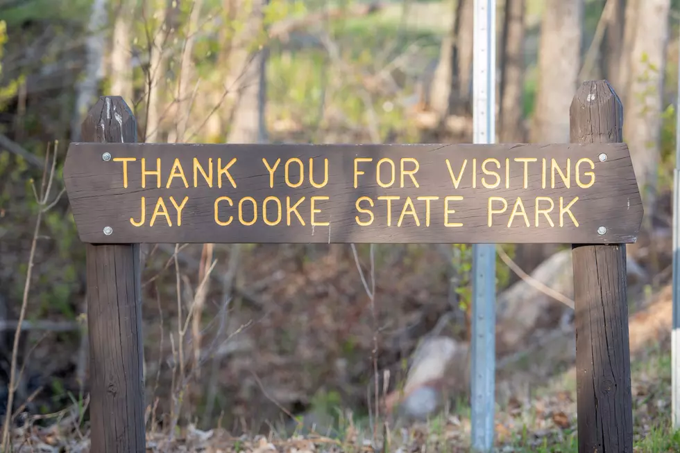 Jay Cooke State Park Is Offering Free Educational Walks