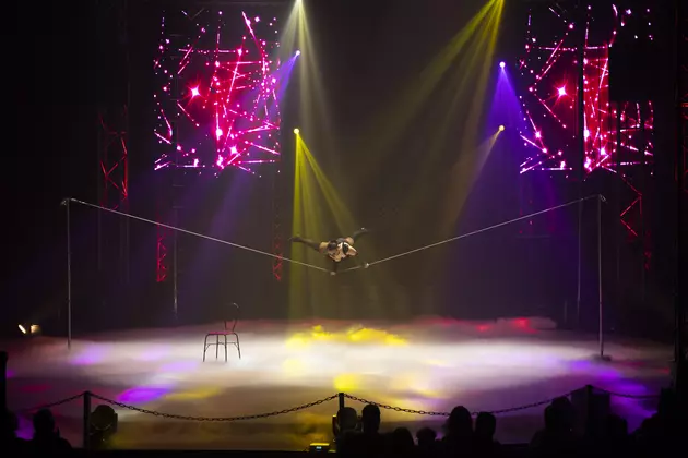 How Entertaining Is The Circus Without Exotic Animals?