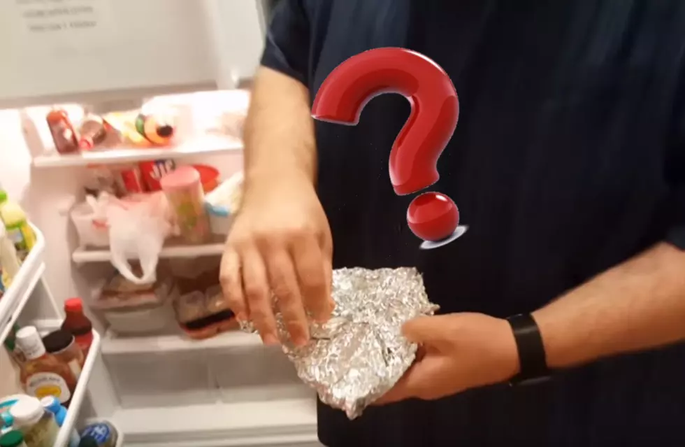Check Out This Funny Video Of Our Break Room Fridge Investigation