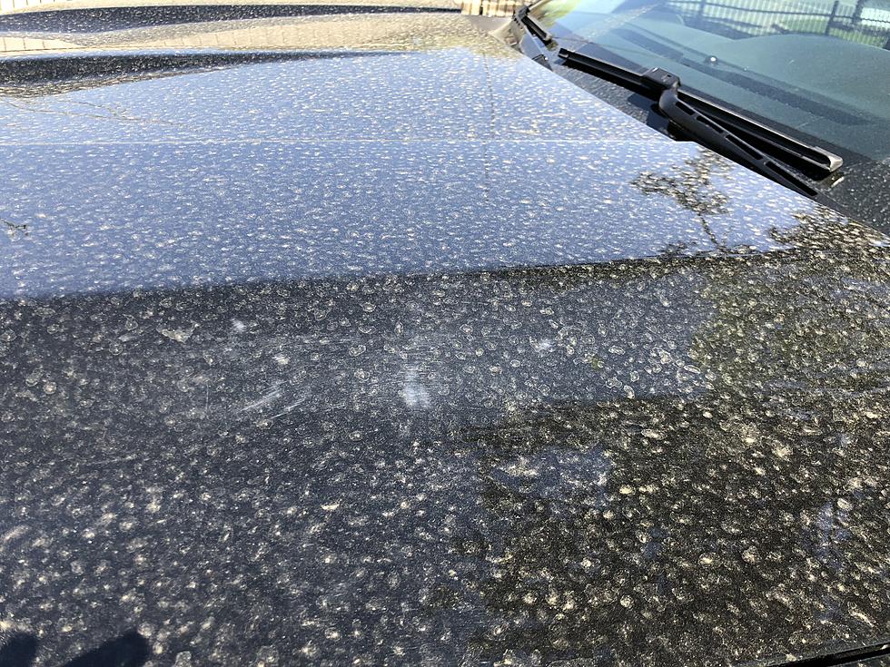 You Can’t Have A Black Vehicle During Pollen Season