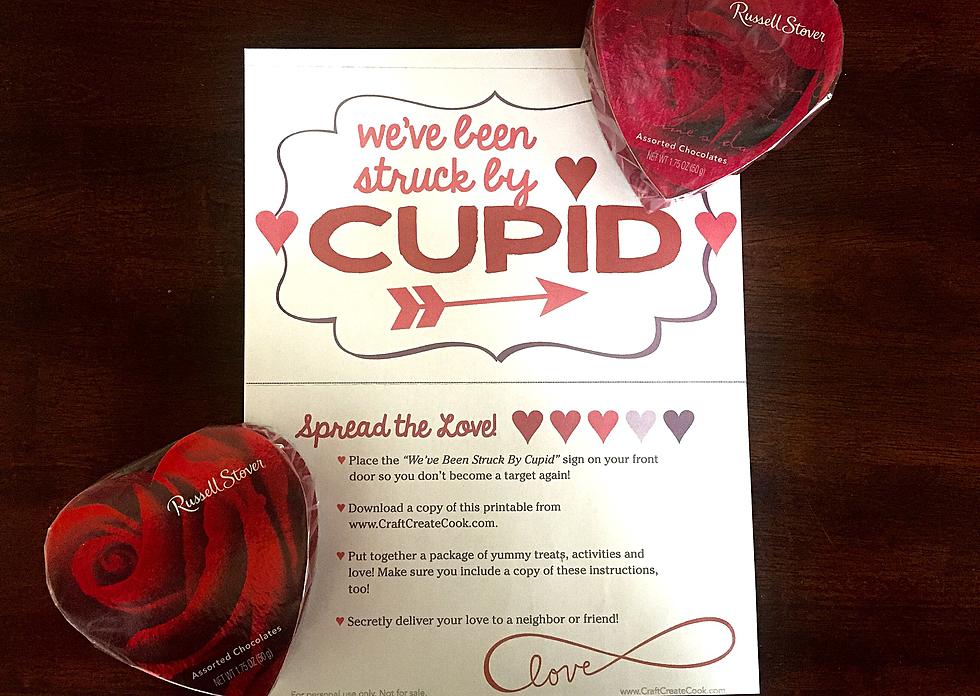 Have You Been Struck by Cupid? [PHOTO]