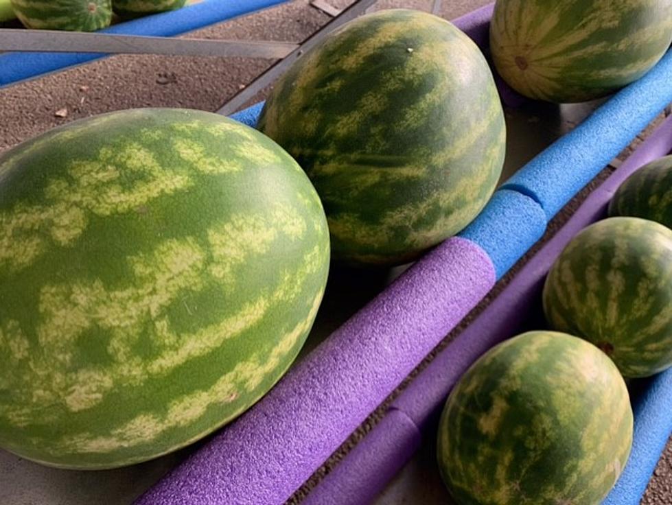 People In East Texas Are Loving Mouth-Watering Grapeland Watermelons