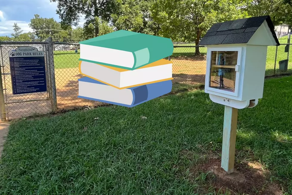 Now You Can Grab A Book At The Dog Park In Nacogdoches, Texas
