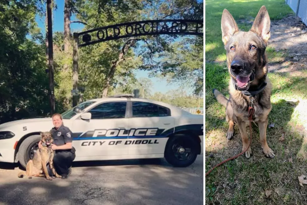 Meet The Newest Member Of The Diboll, Texas Police Department