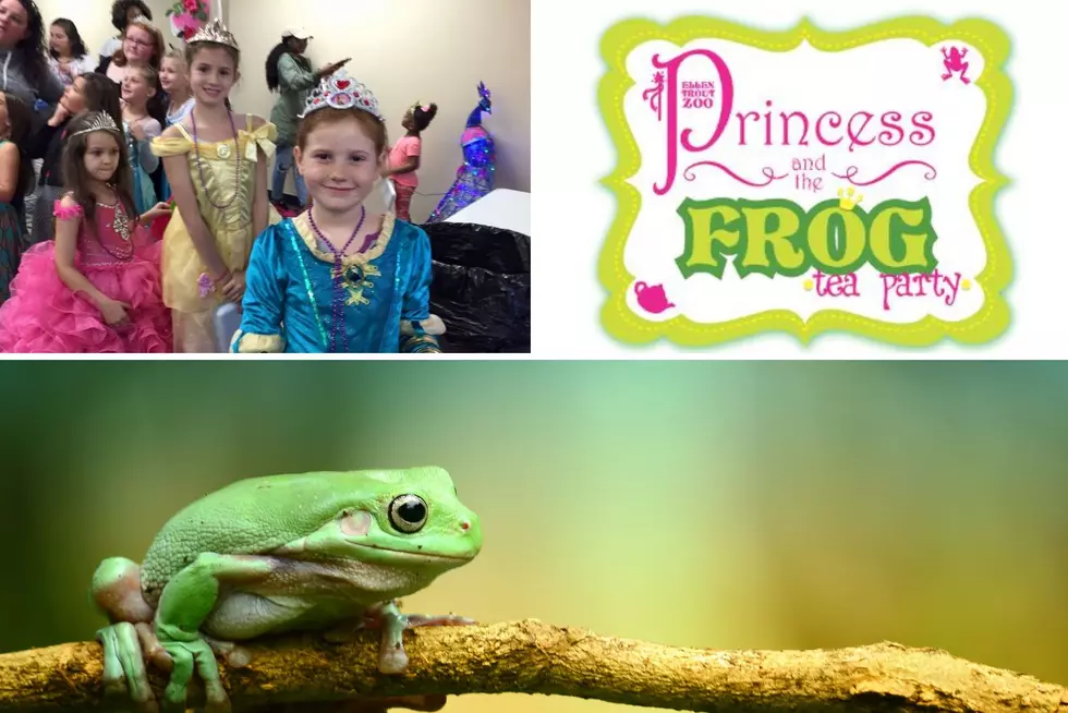 Event Fit For A Princess At Ellen Trout Zoo In Lufkin, Texas