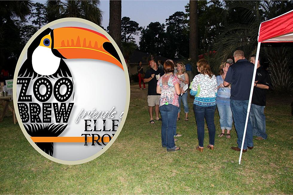 Enjoy Some Innovative Brew At Ellen Trout Zoo In Lufkin, Texas