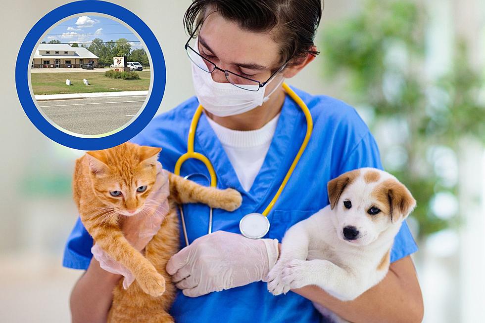 Enroll In This Lufkin, Texas Animal Hospital&#8217;s First Summer Camp