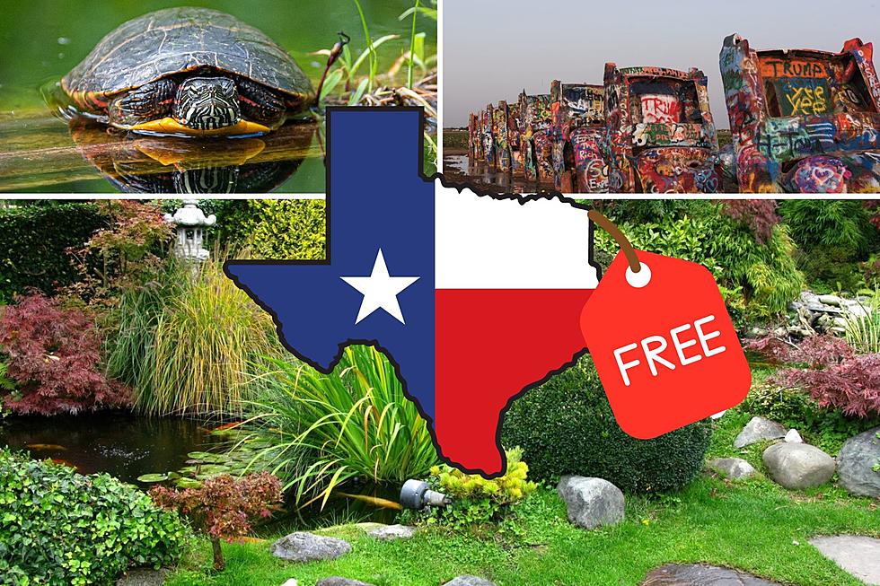 30 Free Things To Do This Summer In Texas