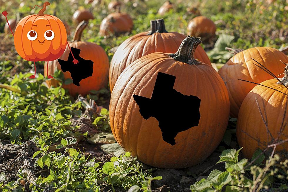 10 Reasons To Visit A Pumpkin Patch In Texas