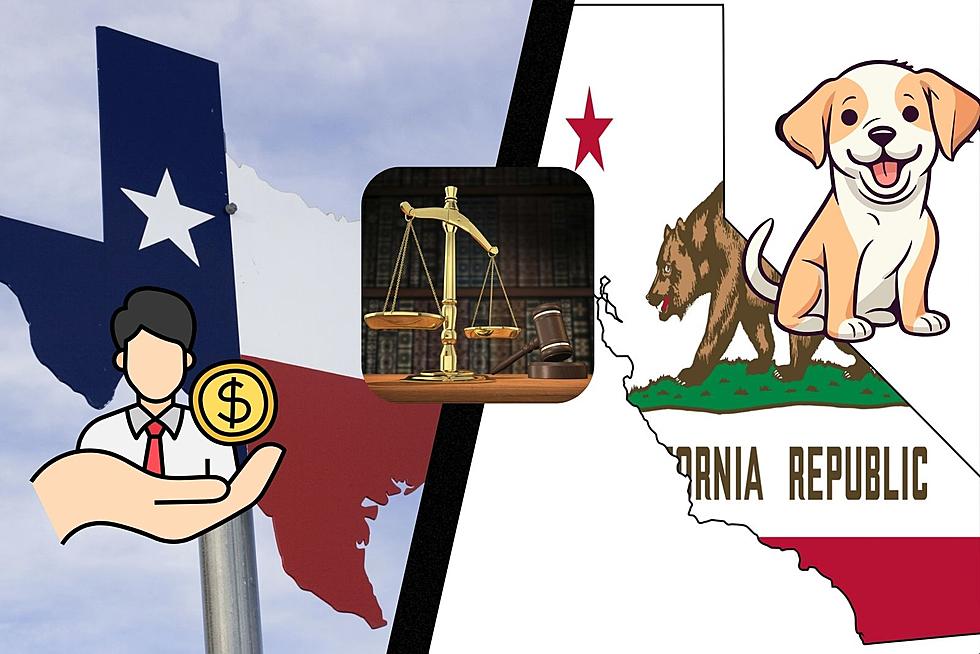 Should Texas Enact These New Laws From California?