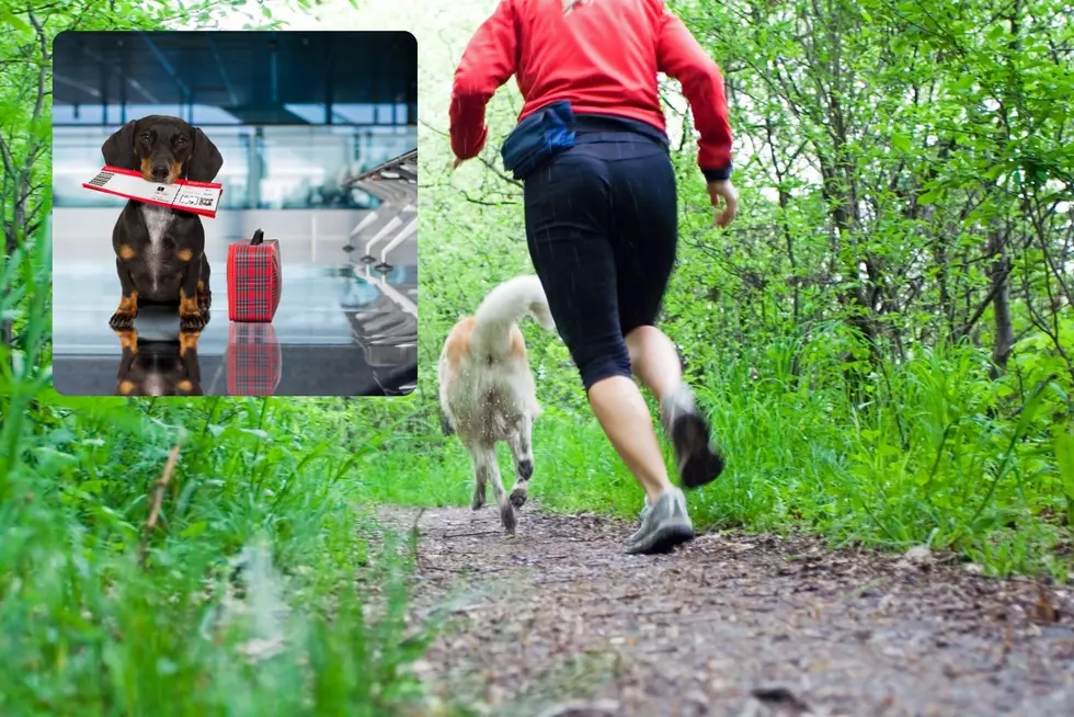 Dog Run At Ellen Trout Park In Lufkin For A Good Cause