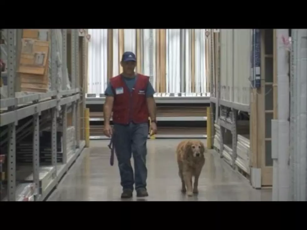 Texas Lowes Hires a Veteran and His Dog