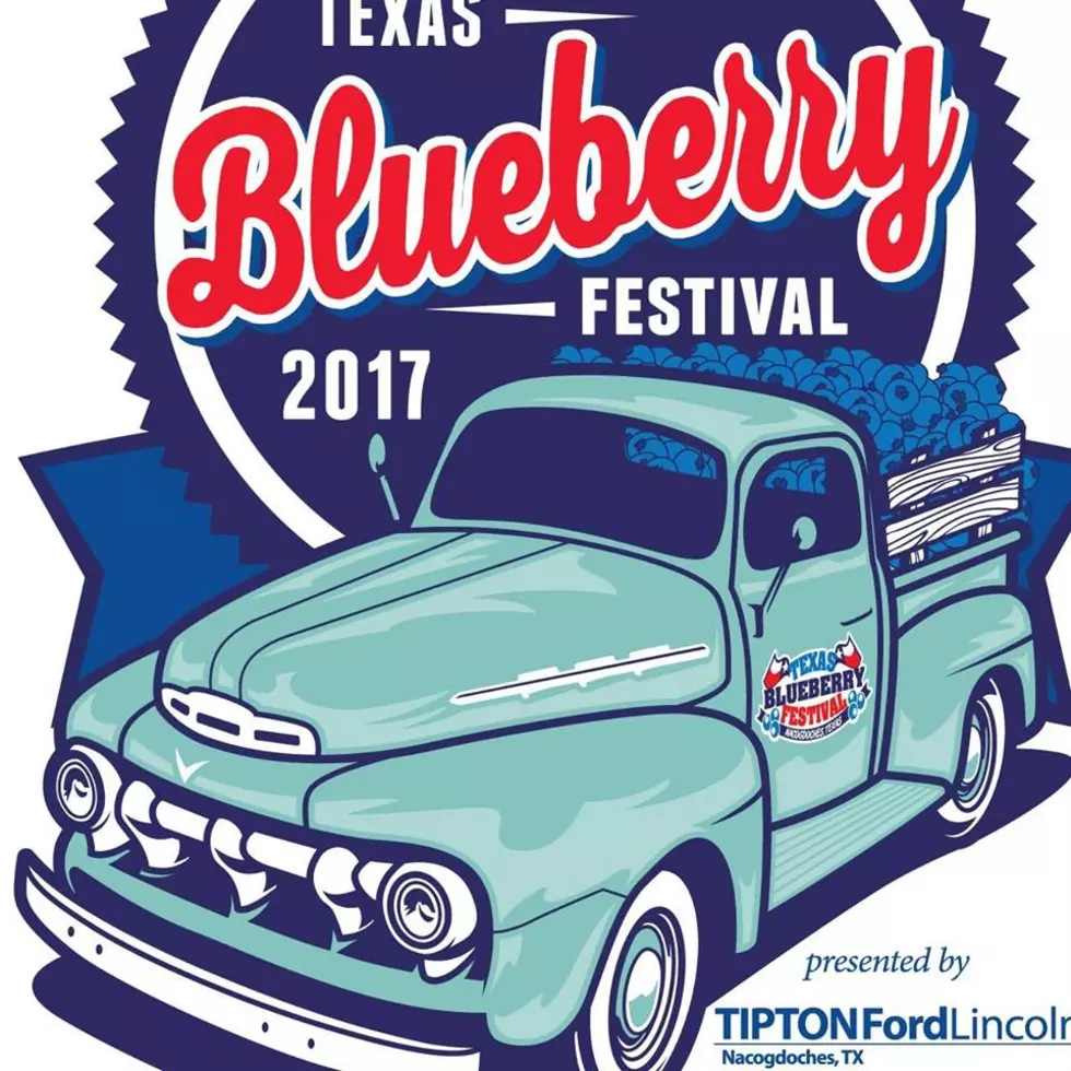 28th Annual Blueberry Festival