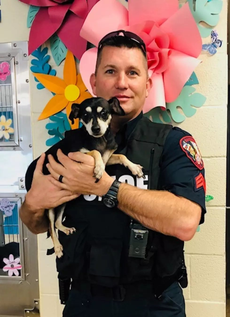 Nacogdoches PD Is Featuring Pets of the Week! Meet Mae!