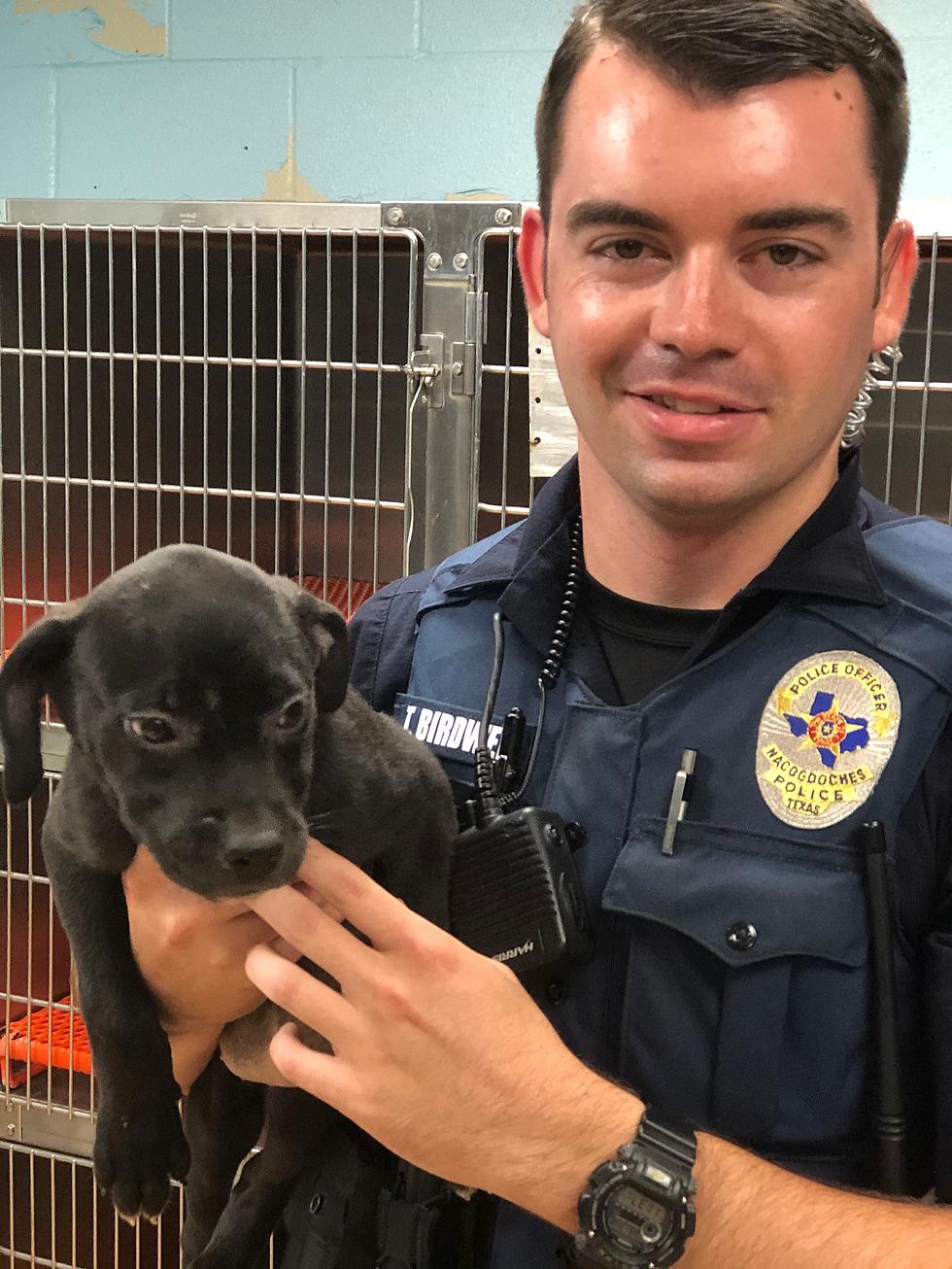 Nacogdoches Police Dept.’s Pet of the Week Is Back – Meet Martha!