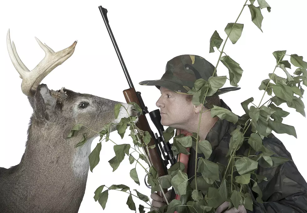 Got A Hunting License? White-Tailed Deer Season Is A Week Away!