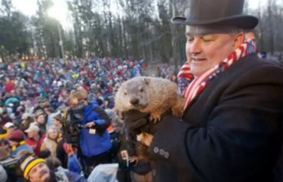 Why is Groundhog Day Such a Big Deal?
