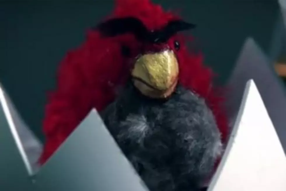 Angry Birds Spoof [VIDEO]