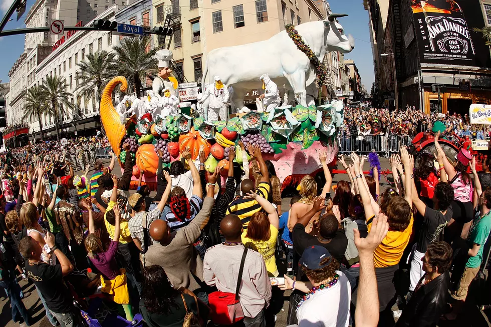 My Favorite day of the year Fat Tuesday! [VIDEO]