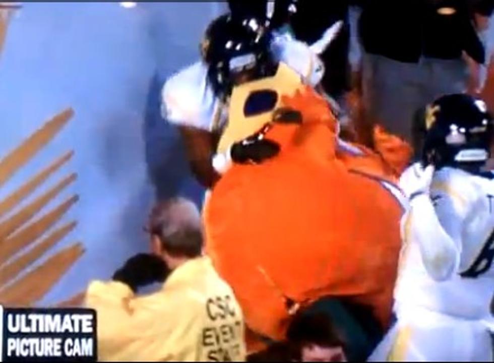 Orange Bowl Mascot Taken Out – Plus More Mascot Fails [VIDEO]
